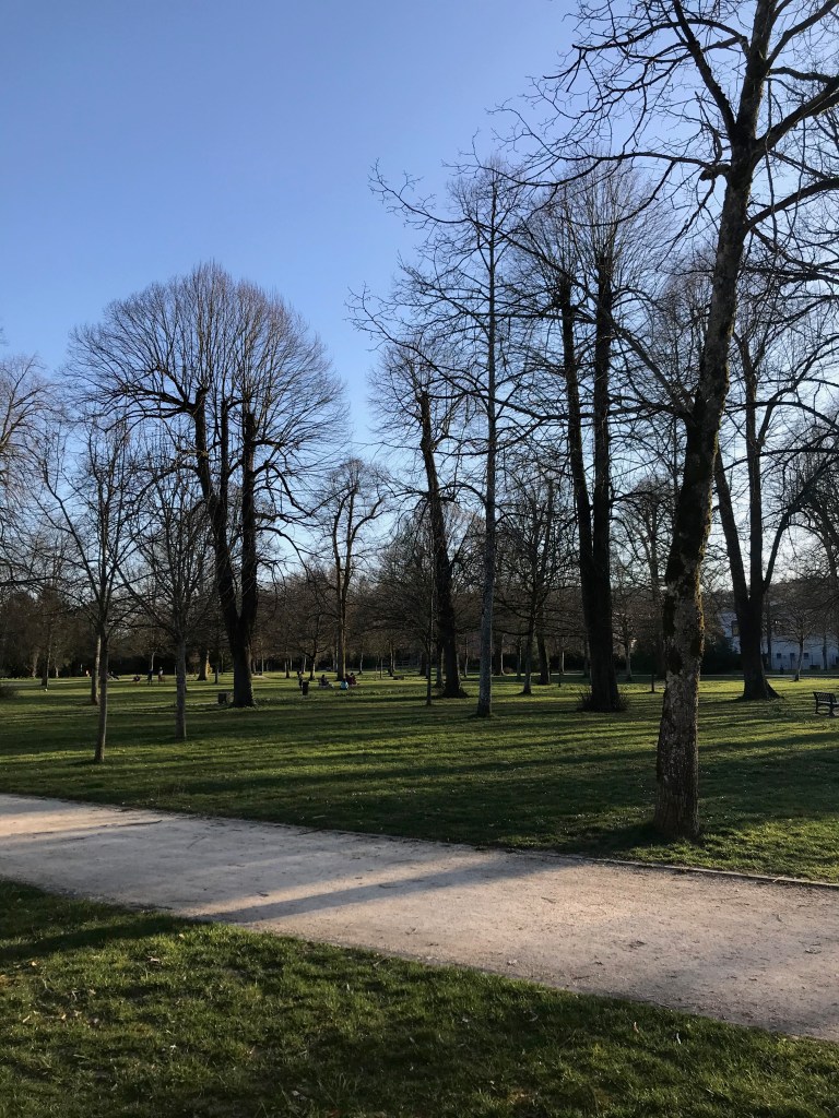 vue d'un parc avec des arbres clairsemé et une allée en sable.