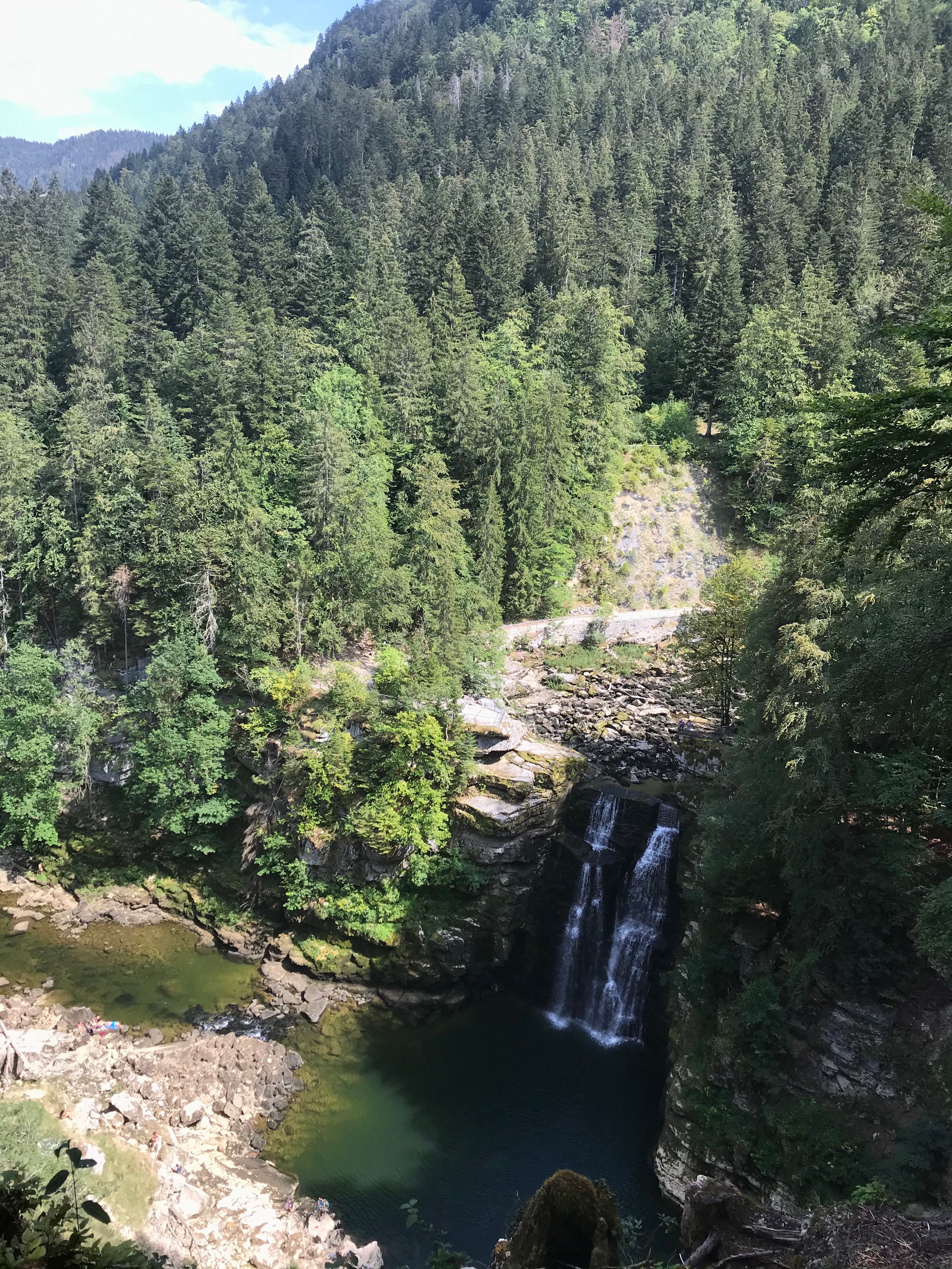 petite cascade et sapins autour