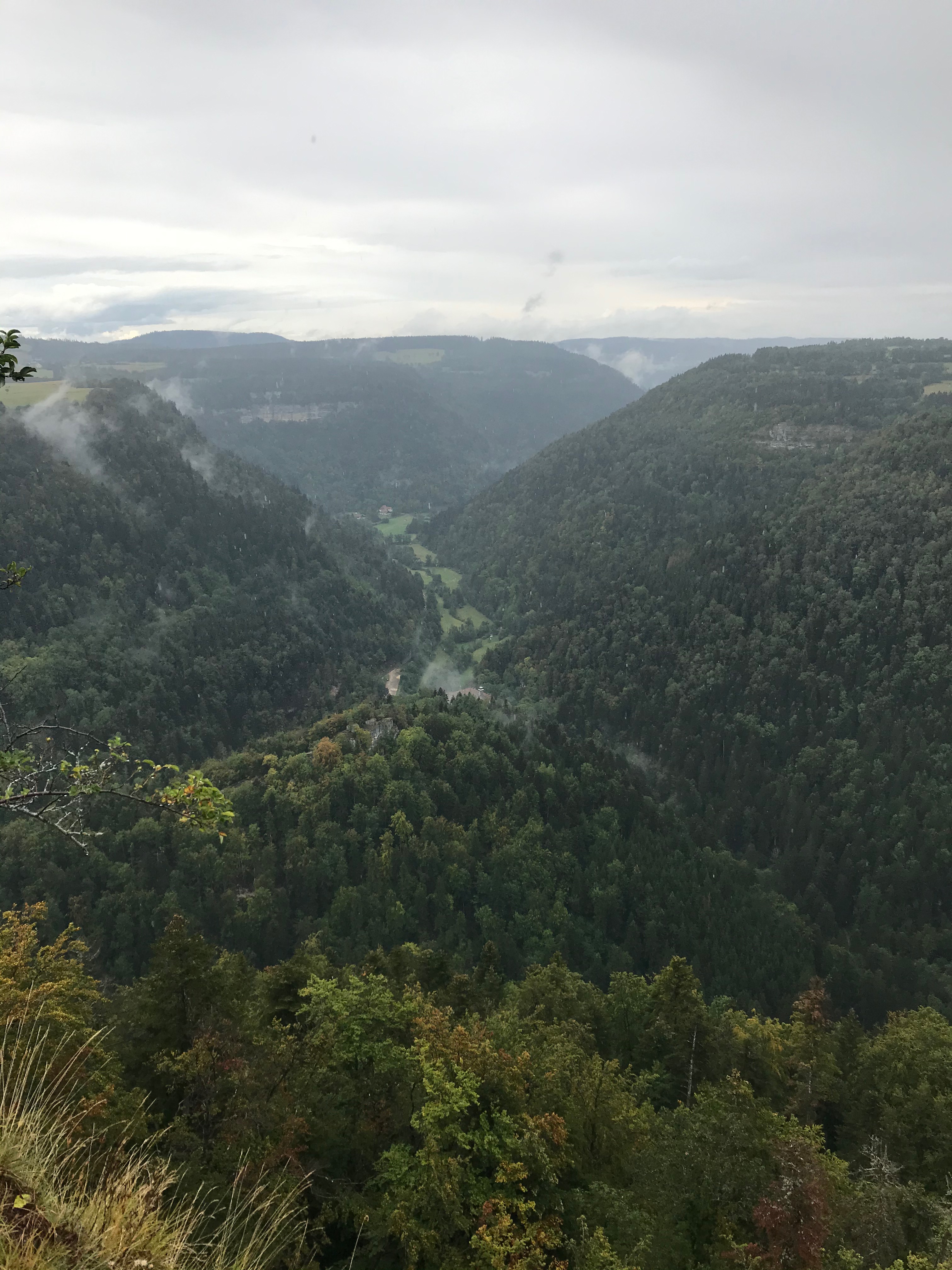 belvédère donnant sur une vallée, colline pleine de sapins, ciel brumeux