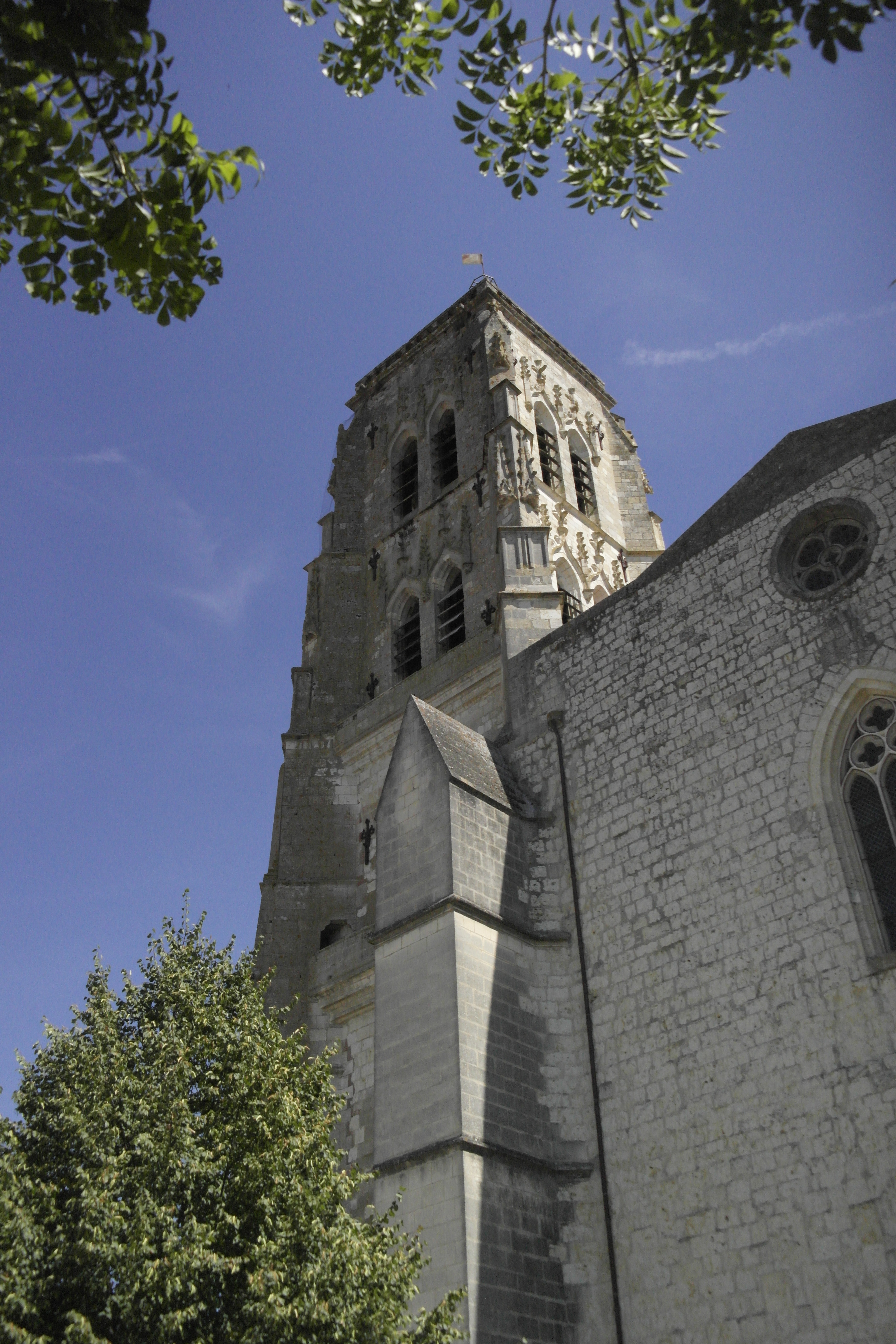 clocher dans le ciel bleu, avec branches d'arbres autour
