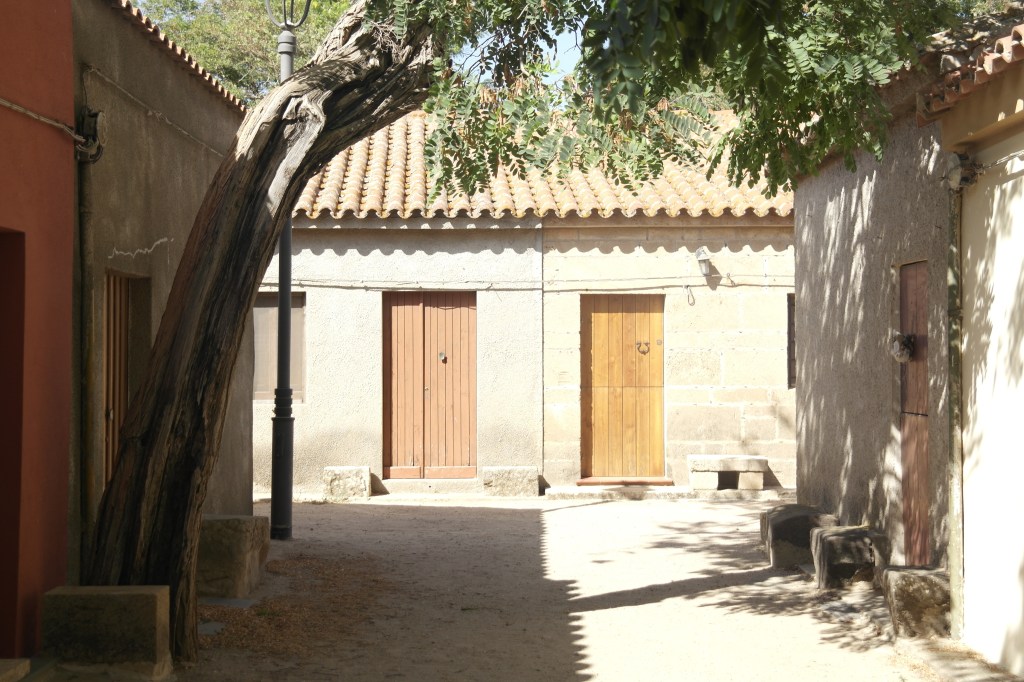 deux portes d'entrée au fond d'une rue