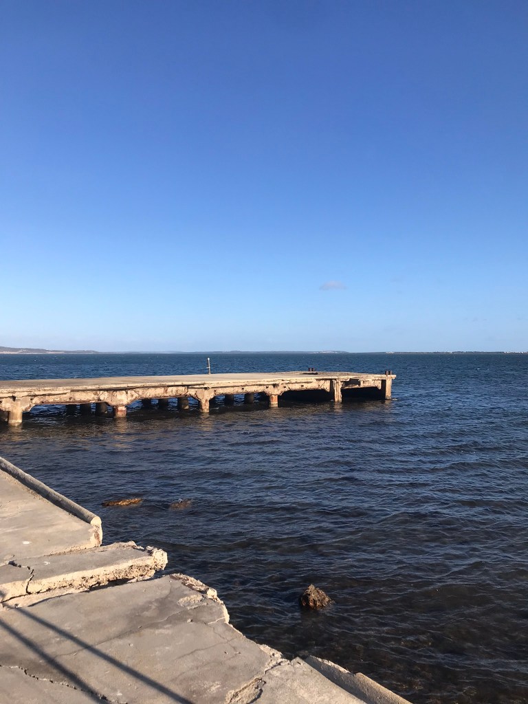 ponton en forme de L sur l'étang