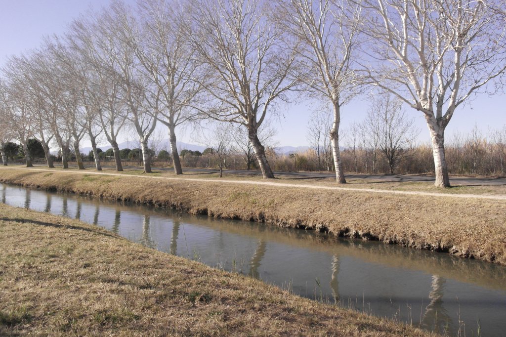 canal et alignement d'arbre sans feuille