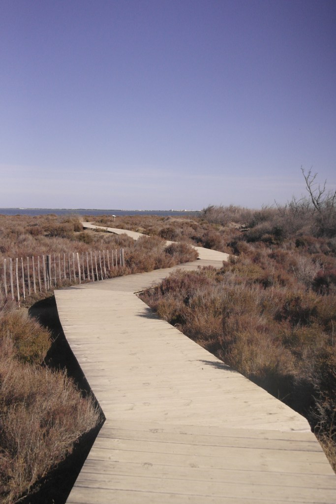 platelage bois au milieu de la végétation méditerranéenne