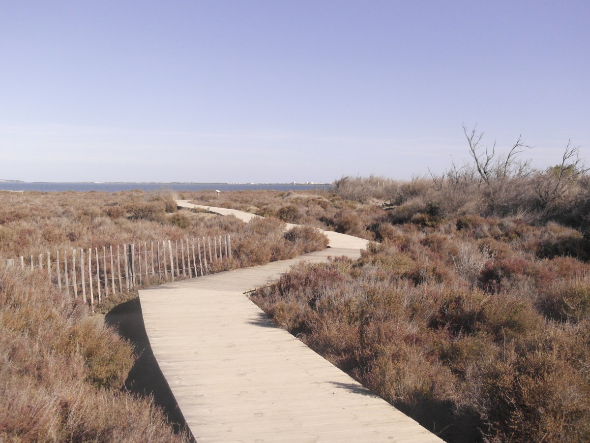 La Salanque à vélo : itinéraires cyclotouristiques en&nbsp;Roussillon