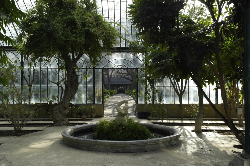 serre à l'orto botanico