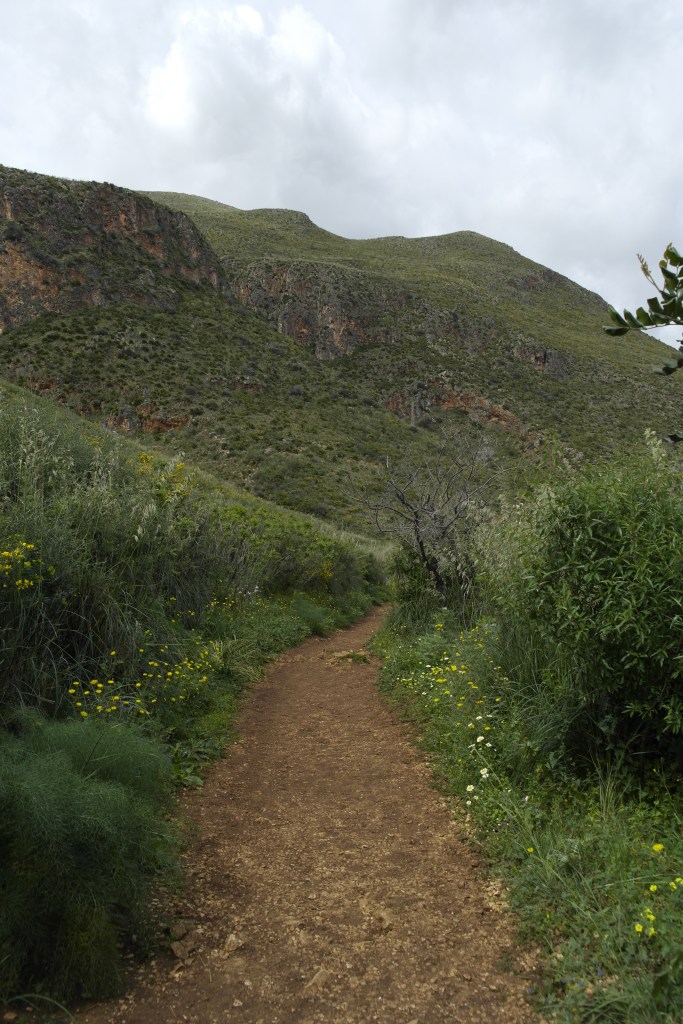 nature verdoyante et luxuriante dans la réserve naturelle