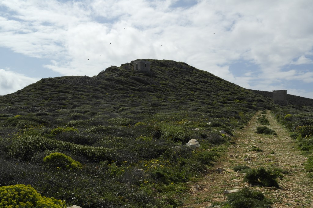 paysage et chemin à Levanzo