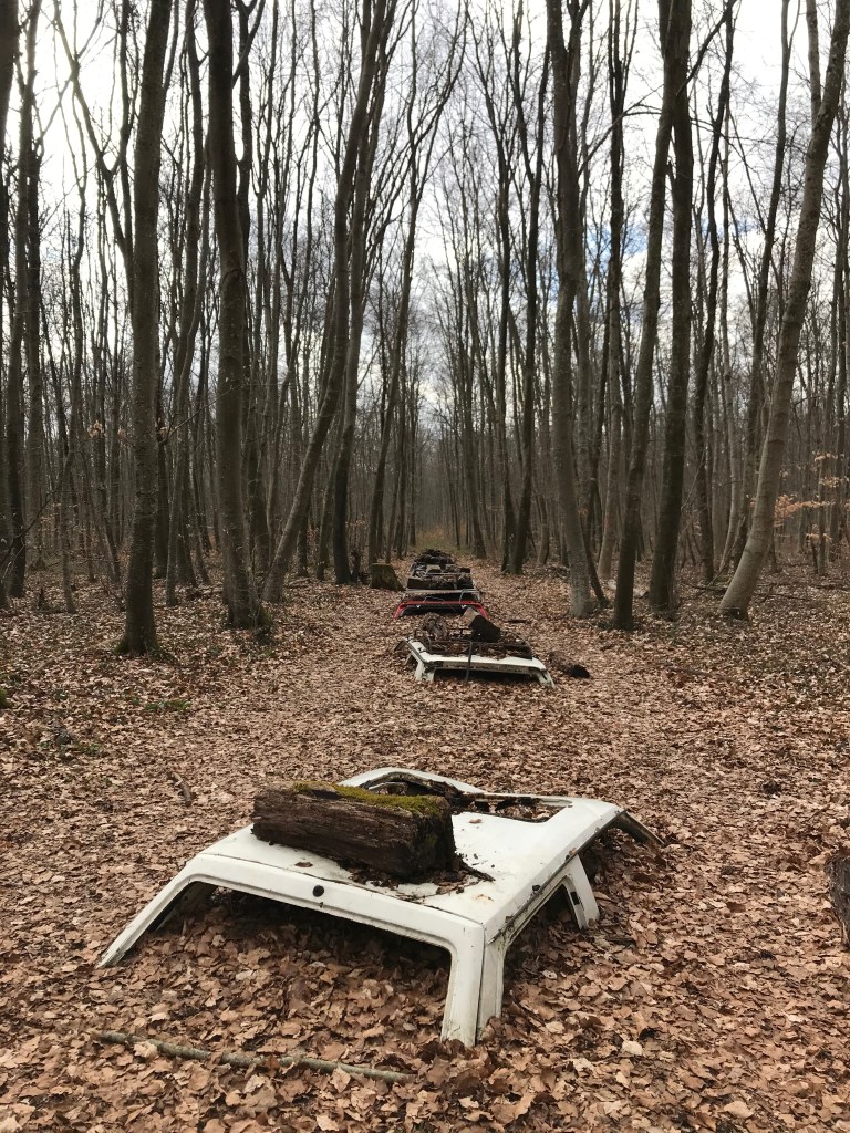 oeuvre d'art en foret, cortège de voiture semi-enterrées