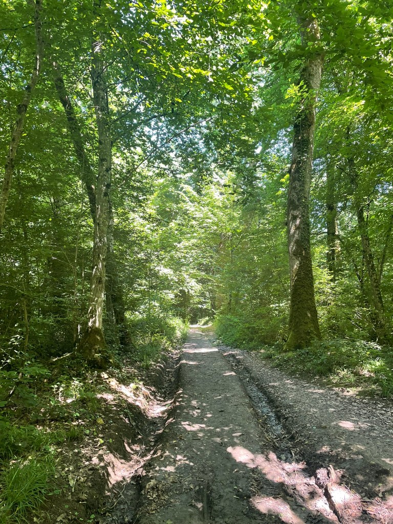 chemin forestier