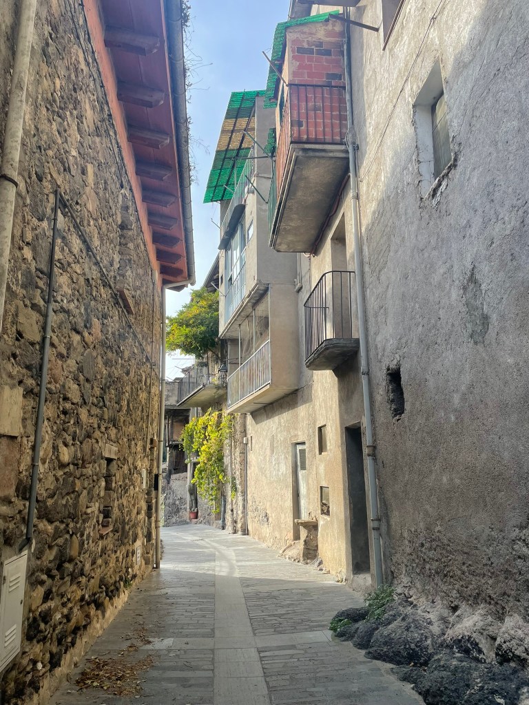 ruelle étroite de Castellfollit-de-la-Roca avec hauts bâtiments